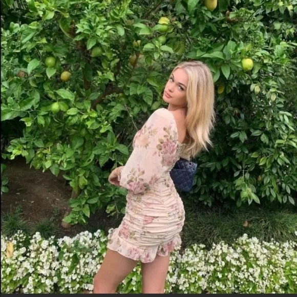 NWT Bloggers Favorite Floral Ruched Dress— Zara - Picture 6 of 13